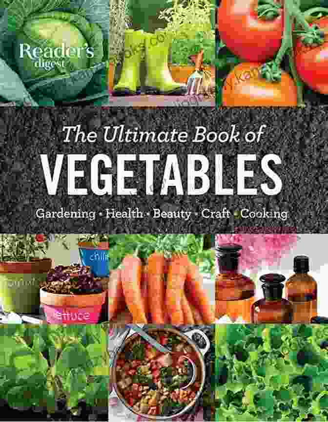 Cabbages: More Than Just Vegetables Book Cover Cabbages More Than Just Vegetables: Enjoy The Taste Of Cabbage With These 30 Recipes