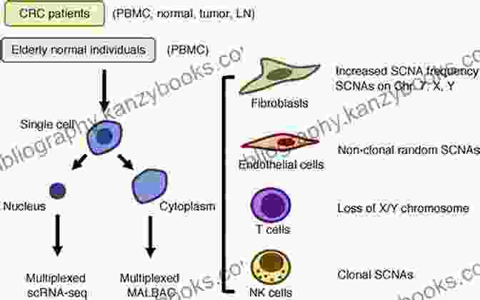 Cancer Cells, A Prevalent And Complex Group Of Diseases Top Common Diseases: By Knowledge Flow