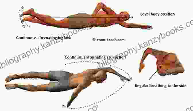 Diagram Illustrating The Front Crawl Technique The Front Crawl The Swimming Technique How To Train Like A Professional