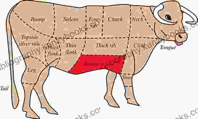 Diagram Of A Cow Showing The Different Cuts Of Meat Holy Cows And Hog Heaven: The Food Buyer S Guide To Farm Friendly Food