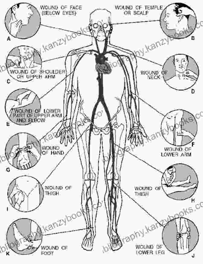 Reflexology Chart: A Detailed Map Of Pressure Points The Self Help Reflexology Handbook: Easy Home Routines For Hands And Feet To Enhance Health And Vitality (Positive Health)