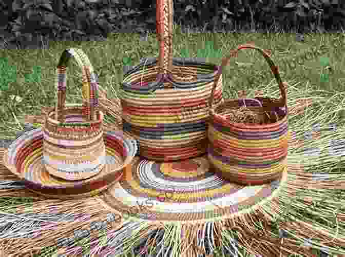 Traditional Indian Crafts Made Using Wild Plants, Such As Baskets Woven From Reed Stalks And Textiles Dyed With Turmeric How Indians Use Wild Plants For Food Medicine Crafts (Native American)