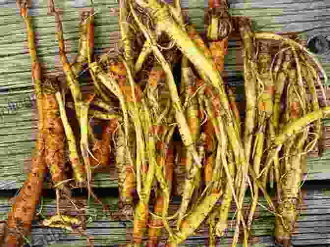 Yellow Dock Root, A Bitter Herb With Antiviral And Antibacterial Properties, Is Used In Dr. Sebi's Remedies To Support Liver Function And Eliminate Toxins. DR SEBI CURE FOR HERPES: Discover The Different Types Of Herpes Virus And How To Prevent Them Following Dr Sebi S Top Supplements Includes FAQs