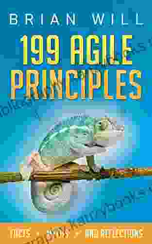 199 Agile Principles: Facts Myths And Reflections