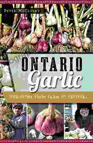 Ontario Garlic: The Story From Farm To Festival