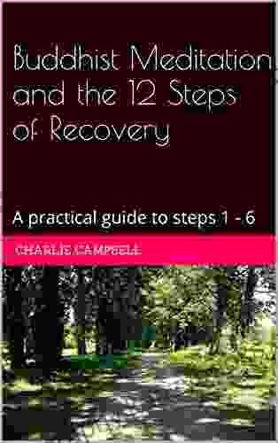 Buddhist Meditation And The 12 Steps Of Recovery: A Practical Guide To Steps 1 6