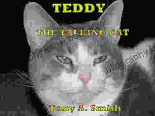 Teddy The Talking Cat Aunt Lily