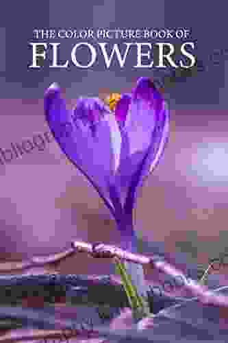 The Picture Of Flowers: For Those Who Are Seniors Or Adults With Dementia And Alzheimer S Patients