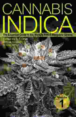 Cannabis Indica: The Essential Guide To The World S Finest Marijuana Strains